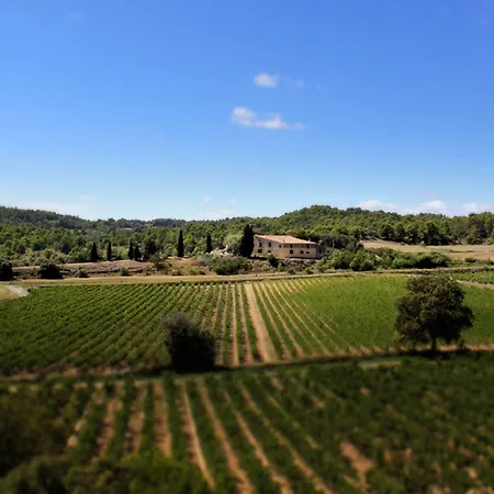 Domaine De Palats Laure-Minervois