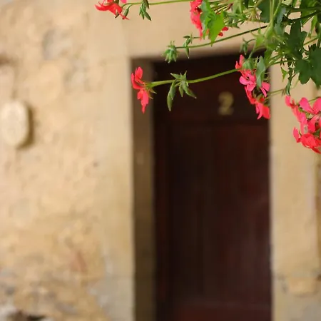Domaine De Palats Laure-Minervois