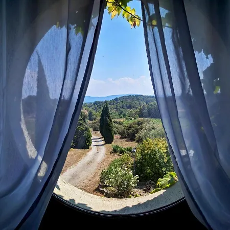 Domaine De Palats * Laure-Minervois