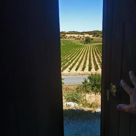 컨트리하우스 Domaine De Palats Laure-Minervois