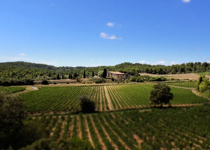 Domaine De Palats Laure-Minervois