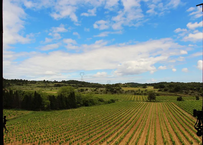 Gospodarstwo wiejskie Domaine De Palats