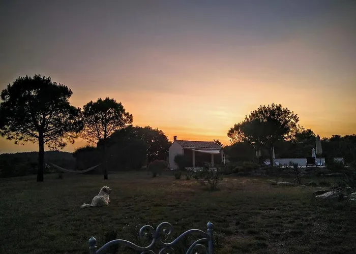 Domaine De Palats Gospodarstwo wiejskie